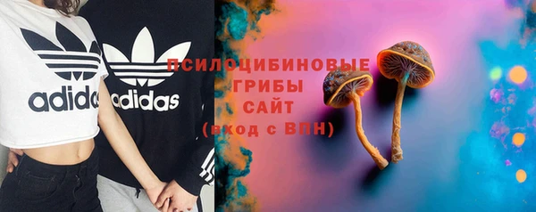 ALPHA PVP Белокуриха