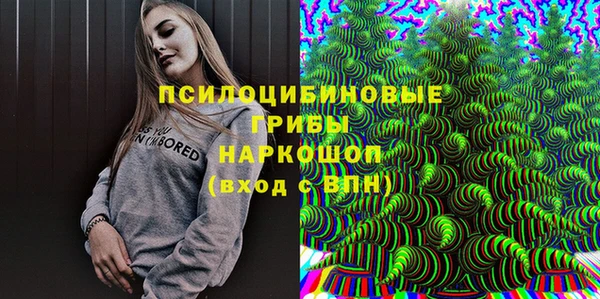гашик Рославль